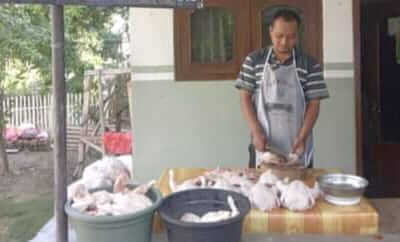 Menjelang Ramadan, Harga Ayam Potong di Situbondo Tembus Rp 42 Ribu Perkilogram