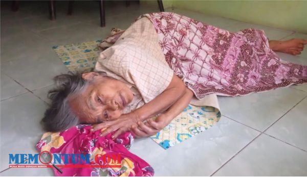 Miliki KKS dan Rumah Berplangkat Keluarga Miskin, Nenek 92 Tahun di Lumajang Tergolek Tanpa Bantuan