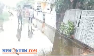 Terdampak Banjir Rob, 50 Rumah Penduduk di Tanjung Pecinan Situbondo Terendam