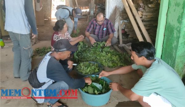 Wujudkan Kemandirian Pupuk, Komunitas Wani Gosong Lumajang Ajak Wujudkan Pola Pertanian Organik