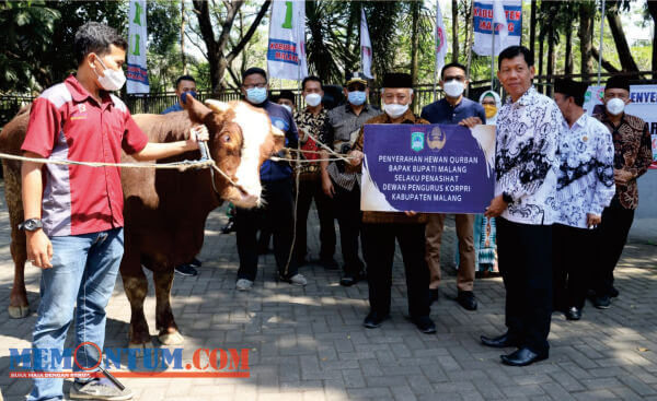 Serahkan Bantuan Hewan Kurban, Bupati Sanusi Ingatkan Pentingnya Bersyukur