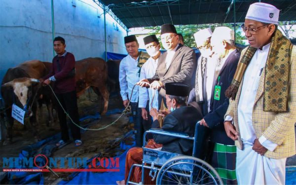 Bupati dan Wabup Lamongan Kurban Delapan Ekor Sapi