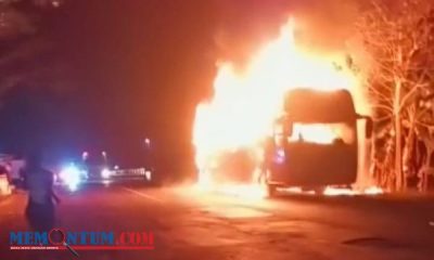 Bus Antar Provinsi Terbakar di Jalur Pantura Situbondo, Puluhan Penumpang Nyaris Terpanggang