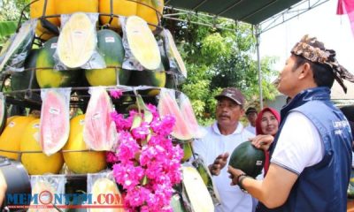 Desa Latukan Lamongan Gelar Panen Raya Festival Buah Buahan Segar hingga Suguhkan Budidaya Koi