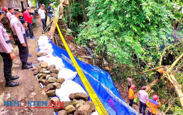 Tanah Longsor Seret Dua Pohon ke Aliran Kali Lahar Kota Blitar