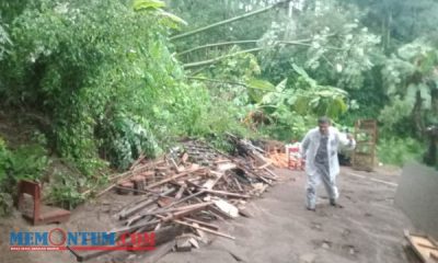 Hindari Hujan Deras, Sejumlah Siswa SMAN 1 Kalidawir Tulungagung Terjebak Banjir