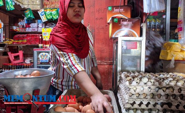 Harga Telur Ayam di Trenggalek Naik di Angka Rp 30 Ribu Perkilogram