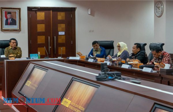 Ciptakan Daerah Penunjang Ketahanan Pangan Nasional, KSP Dukung Pengembangan Sorgum di Belitung