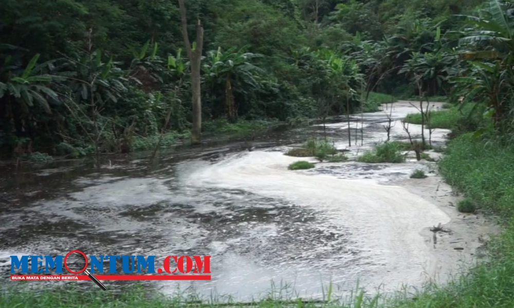 Limbah Greenfields Diduga Cemari Sumber Air di Dua Dusun Desa Tegalasri Blitar, Warga Tuntut Ketegasan Pemkab