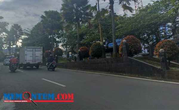 Percantik Kawasan Jalan Dewi Sartika, DLH Kota Batu Rencanakan Kepras Taman Median Jalan