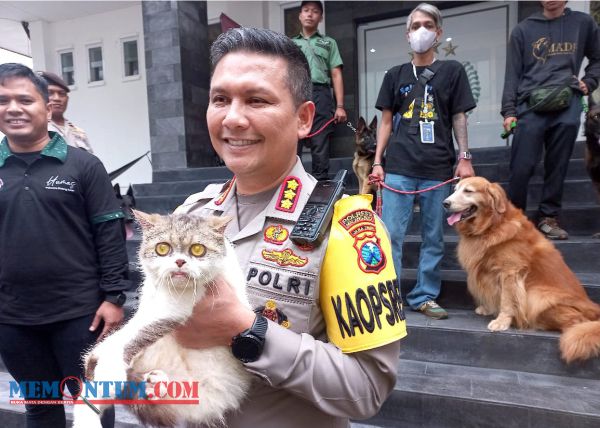 Kombes Pol Budi Hermanto Tegaskan Pelaku Penelantaran Hewan Bisa Dipidana