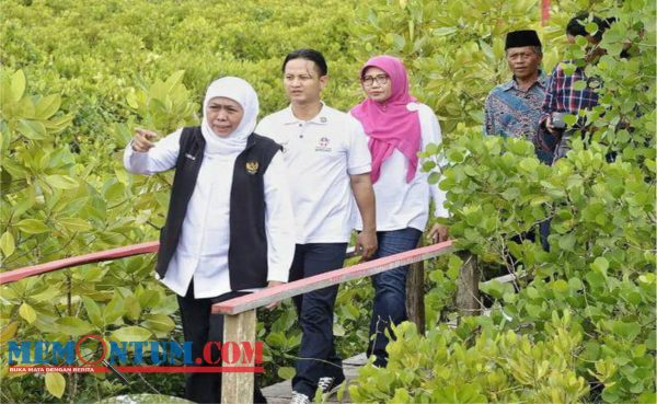 Siapkan Trenggalek Jadi Tuan Rumah Festival Mangrove 2023, Gubernur Jatim didampingi Bupati Arifin Lakukan Peninjauan