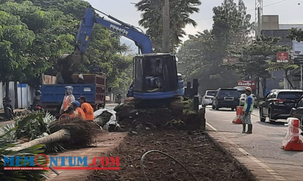 DLH Kota Batu Anggarkan Rp 190 Juta untuk Pengeprasan Taman Median Jalan Dewi Sartika