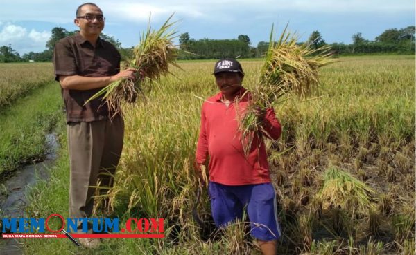 Respon Pemenuhan Kebutuhan Pupuk Subsidi Petani, HKTI Lumajang Sampaikan Temuan dan Solusi