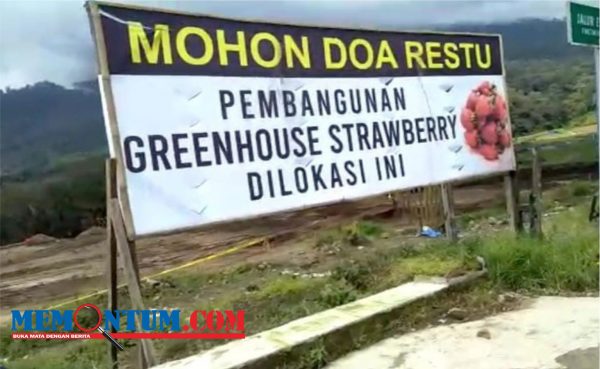 Pembangunan Green House Strawberry Sumber Brantas Dihentikan Satpol PP Kota Batu karena Tak Kantongi Izin