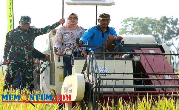 Hadiri Panen Raya Padi Inbrida, Bupati Blitar Minta Petani Tetap Tangguh dalam Wujudkan Swasembada Pangan