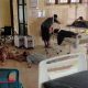 Enam Anak Usia di Bawah 10 Tahun Jadi Korban Truk Pelayat Alami Rem Blong Probolinggo