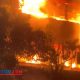 Petugas PMK Terus Berjuang Padamkan Api di Malang Plaza