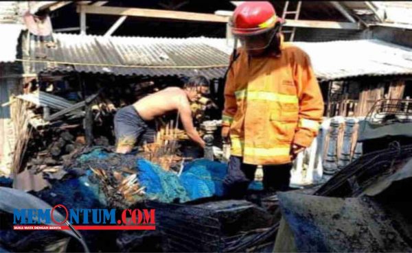 Empat Warung di Kecamatan Paiton